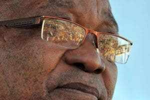 State can't argue against Zuma's chronic attempts at removing Downer, lawyer insists