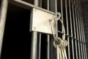 Man sentenced to life for murder of KZN ward councillor