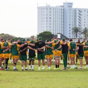 Springboks in a huddle