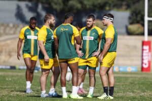 Springboks players
