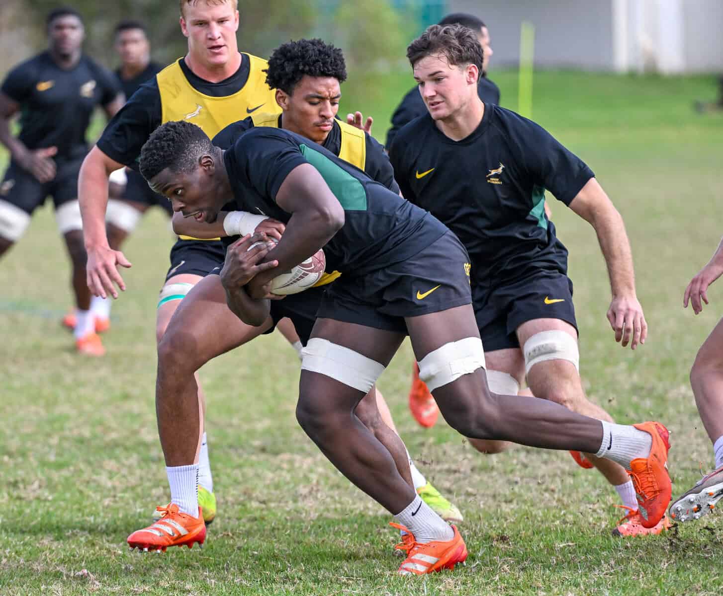 Junior Springboks are in rude health