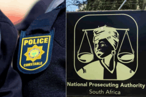 How political interference hollowed out Saps and NPA