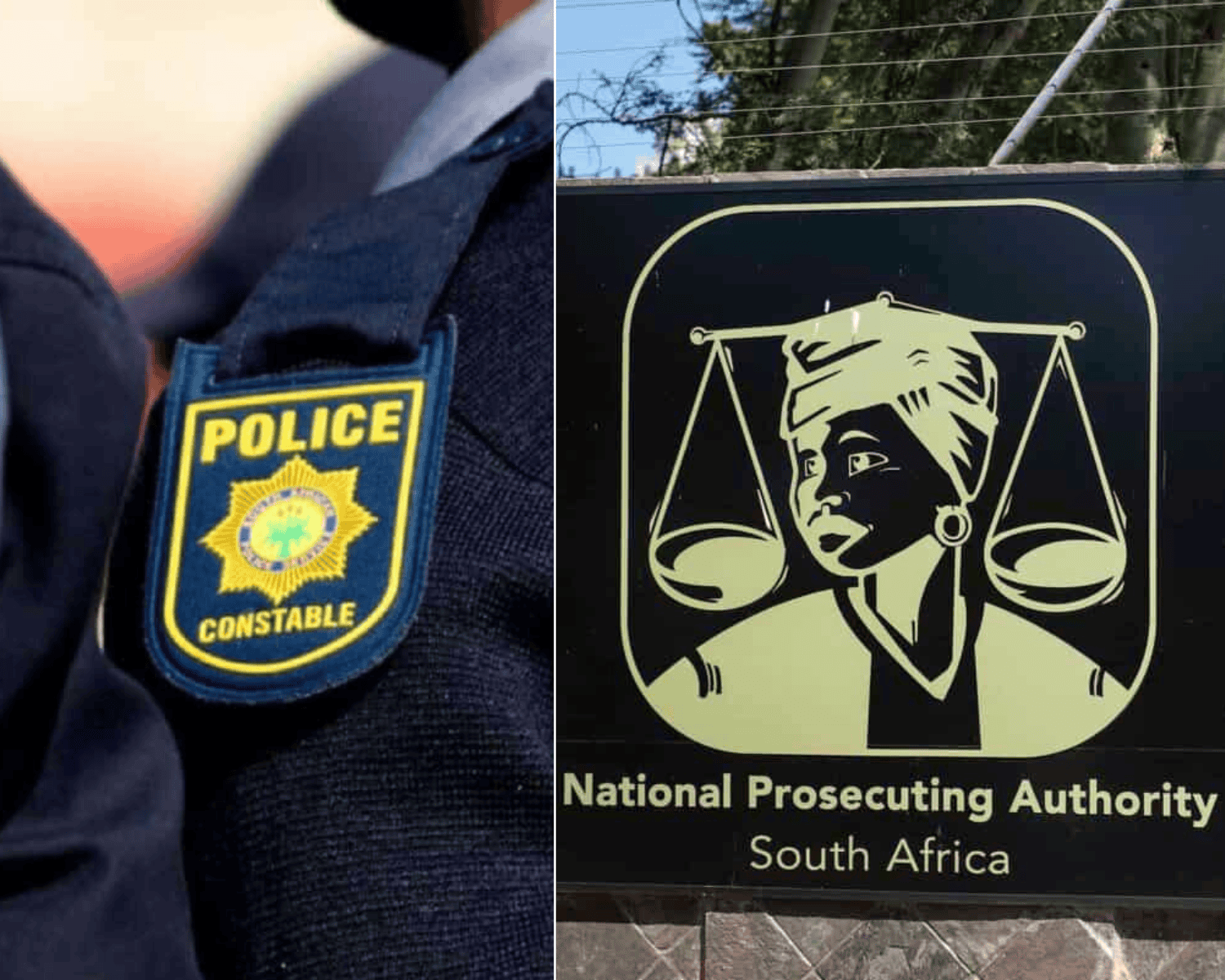 How political interference hollowed out Saps and NPA