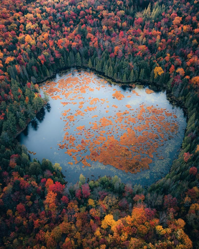 The Inaugural International Aerial Photographer of the Year winner