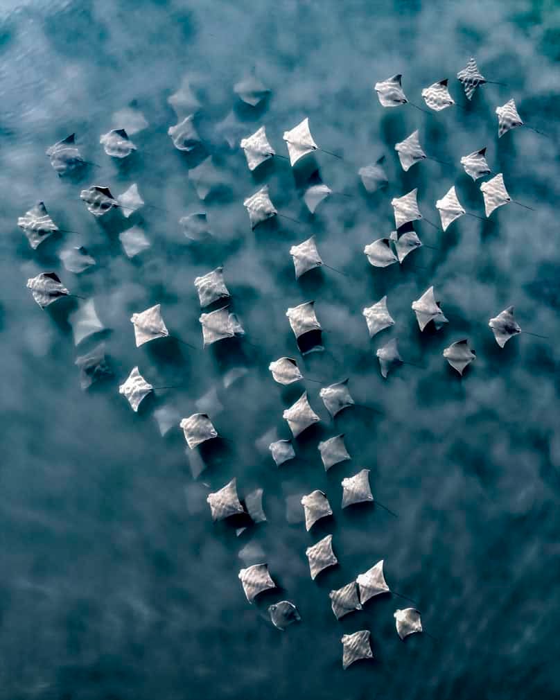 The Inaugural International Aerial Photographer of the Year winner