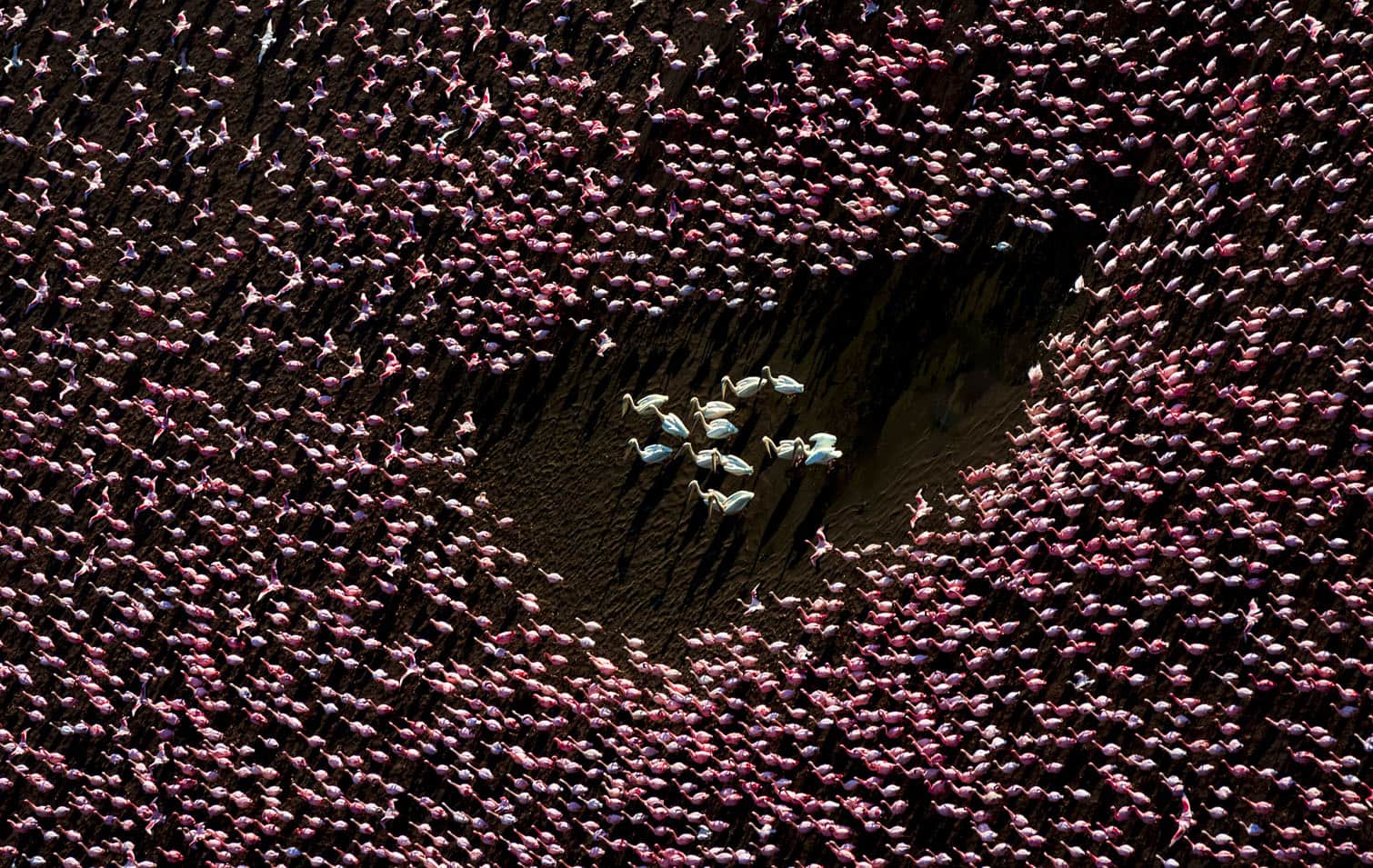 The Inaugural International Aerial Photographer of the Year winner