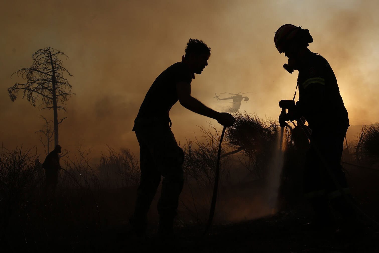 A wildfire burns homes and forest in the residential area of Kryoneri, near Athens