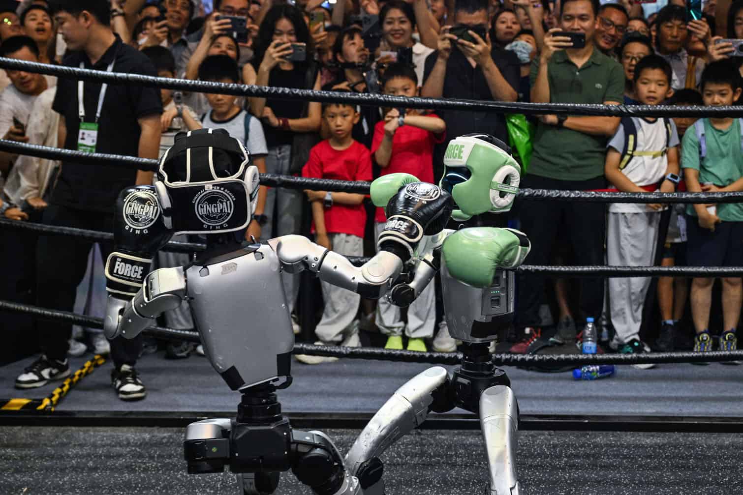 People watch remote-controlled robots boxing