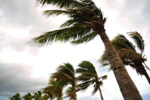 Level 2 weather warning: Damaging winds and cold conditions expected on Sunday