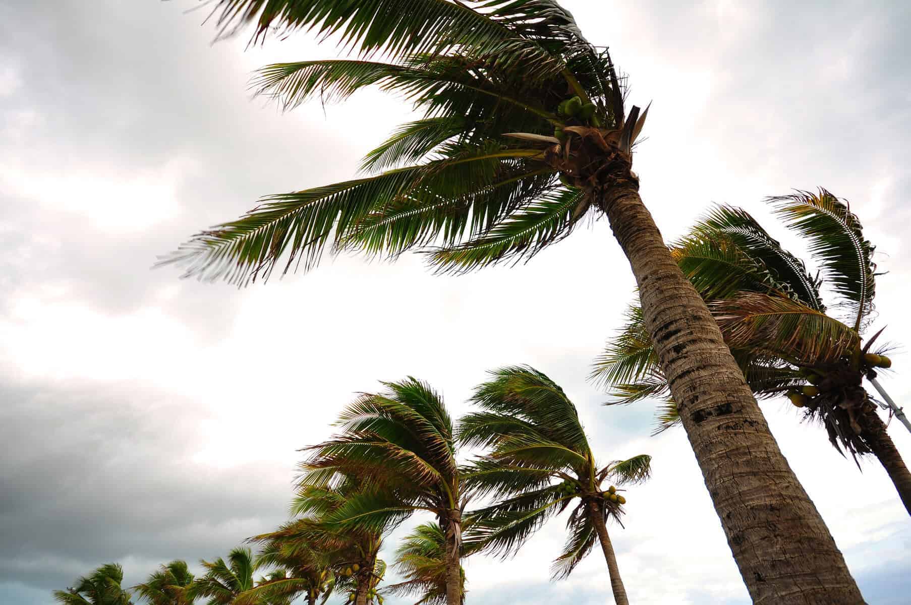 Level 2 weather warning: Damaging winds and cold conditions expected on Sunday