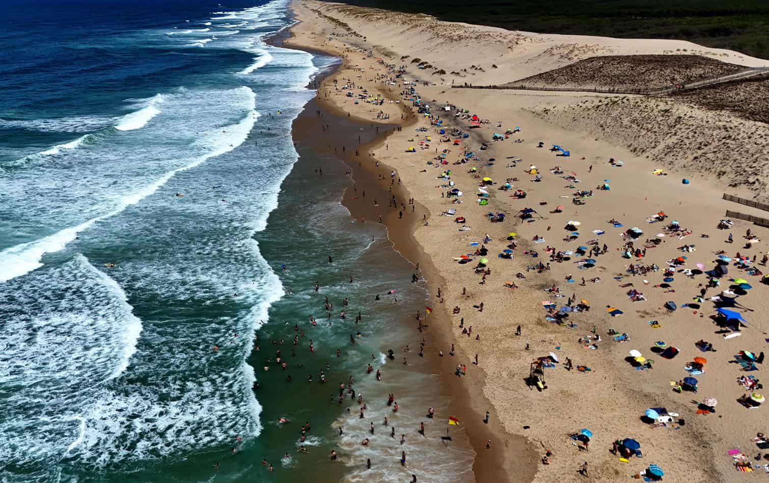 beach-goers gathering on a beach