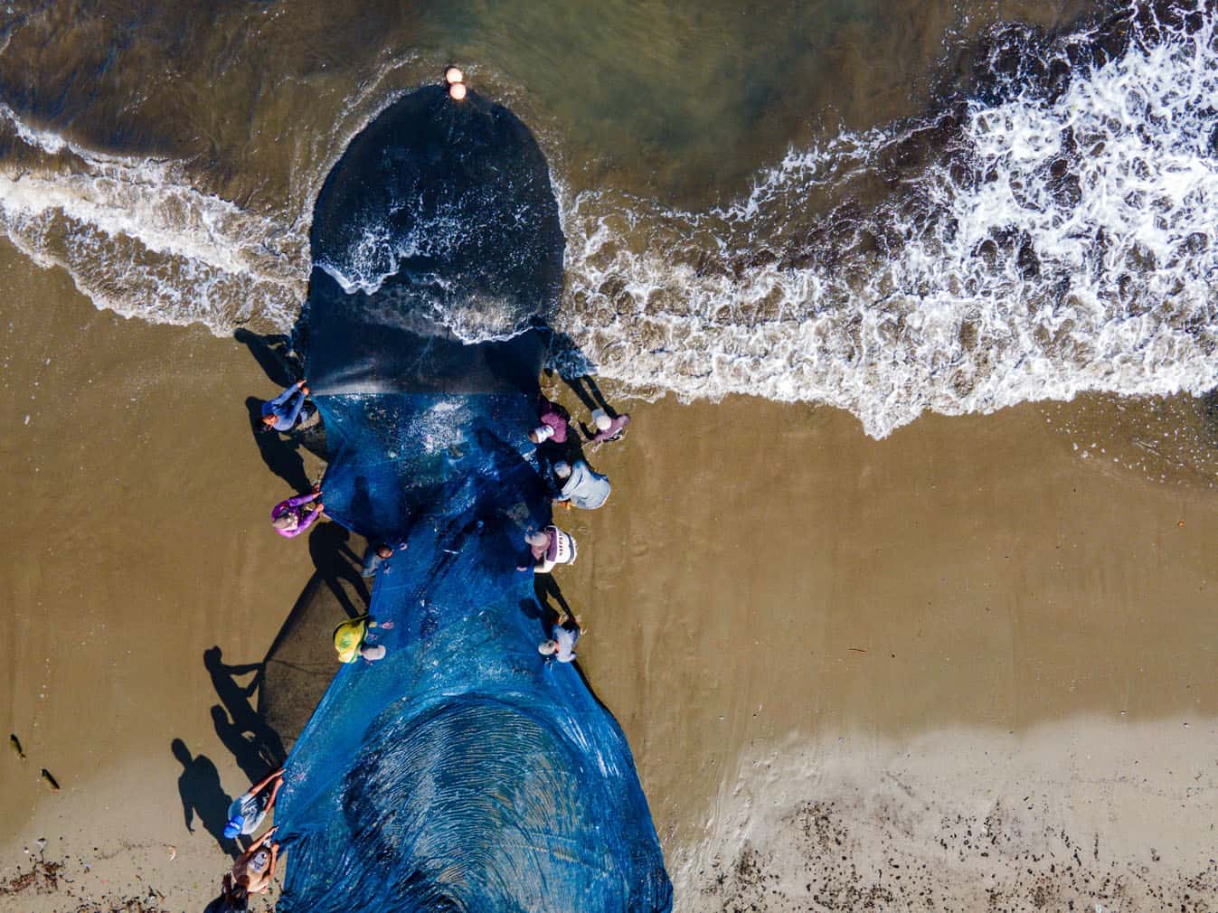 fishermen pulling a net