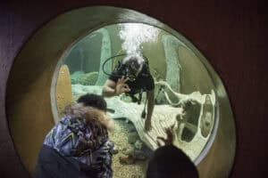 Joburg Zoo aquarium