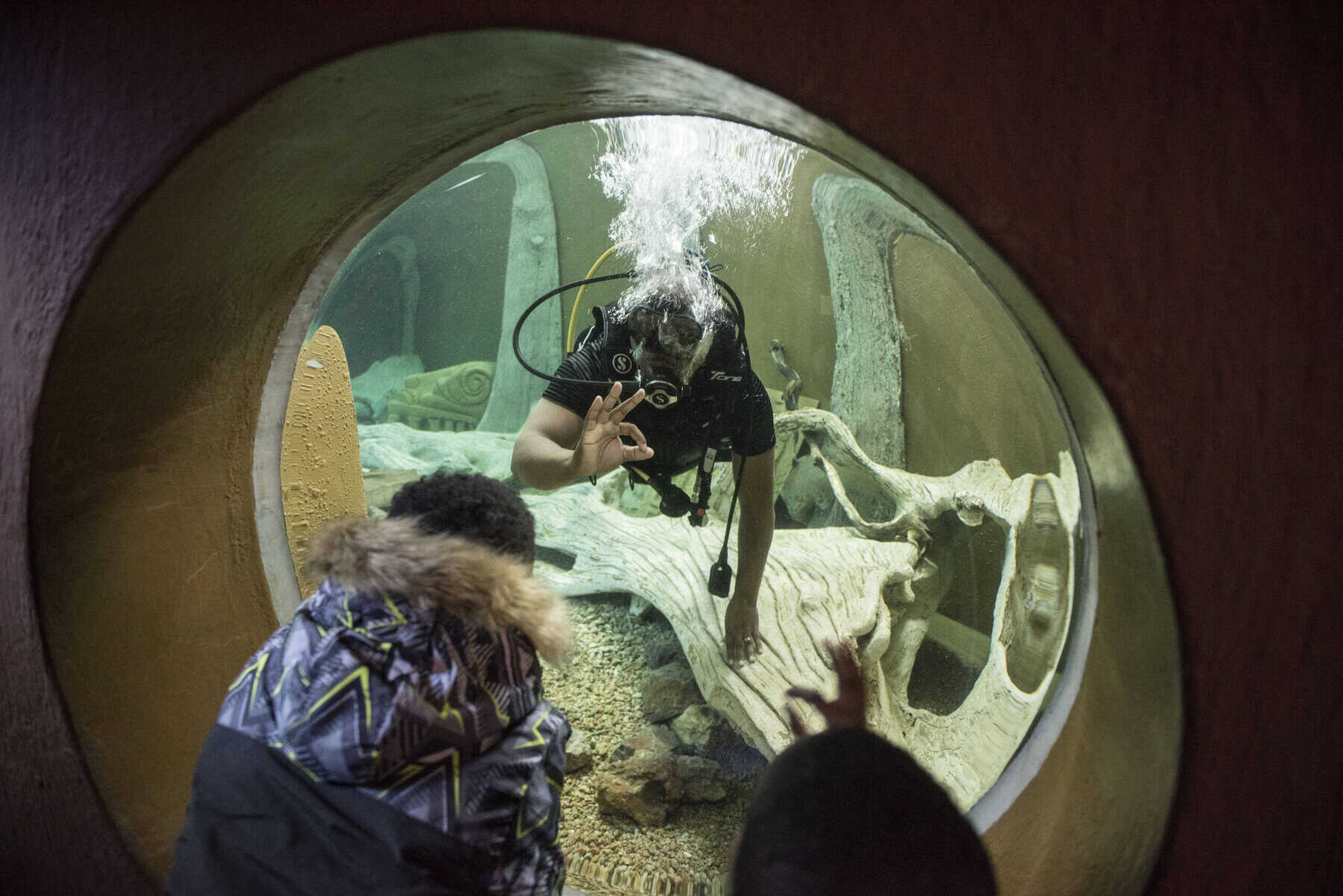 Joburg Zoo aquarium