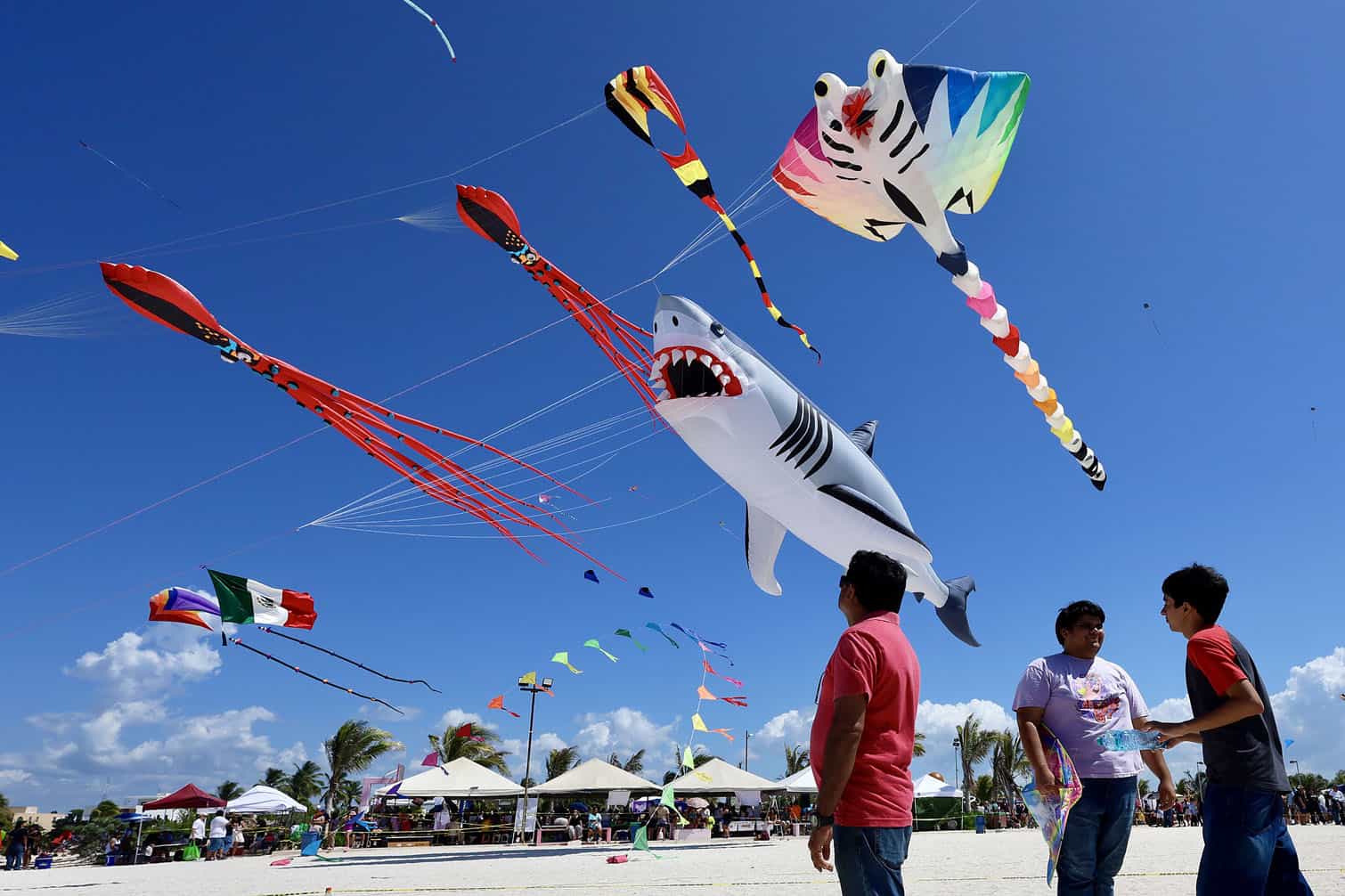 Third annual festival of kites