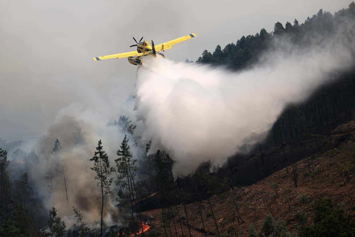 Forest fire in Portugal