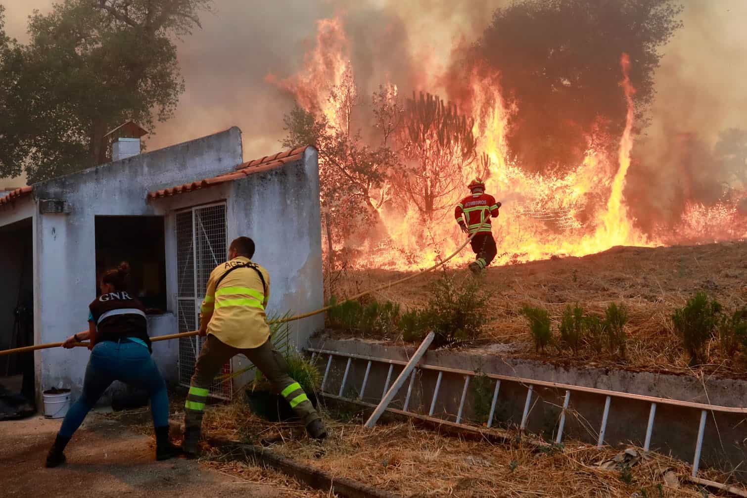 Forest fire in Portuguese municipality of Penamacor