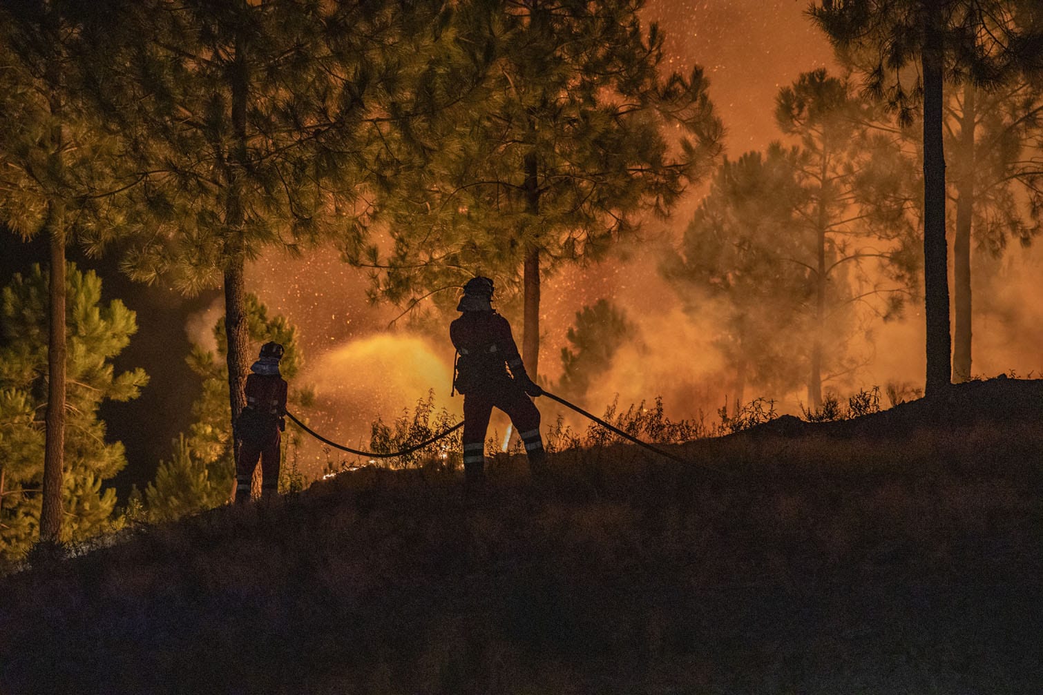 firefighters battling a wildfire
