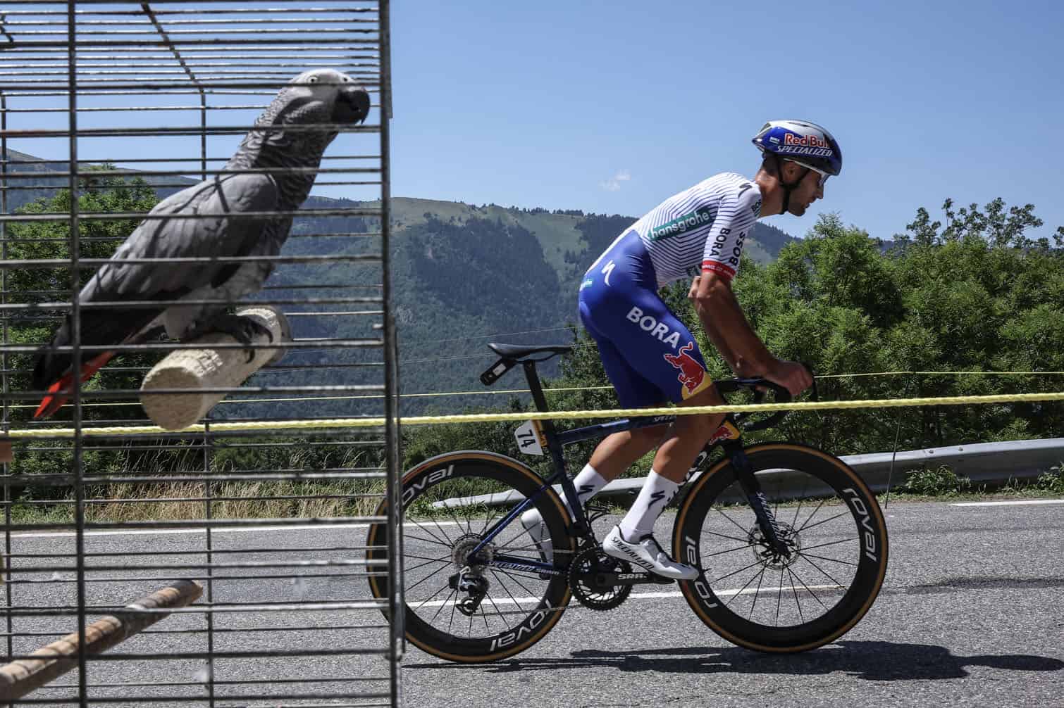 Tour de France