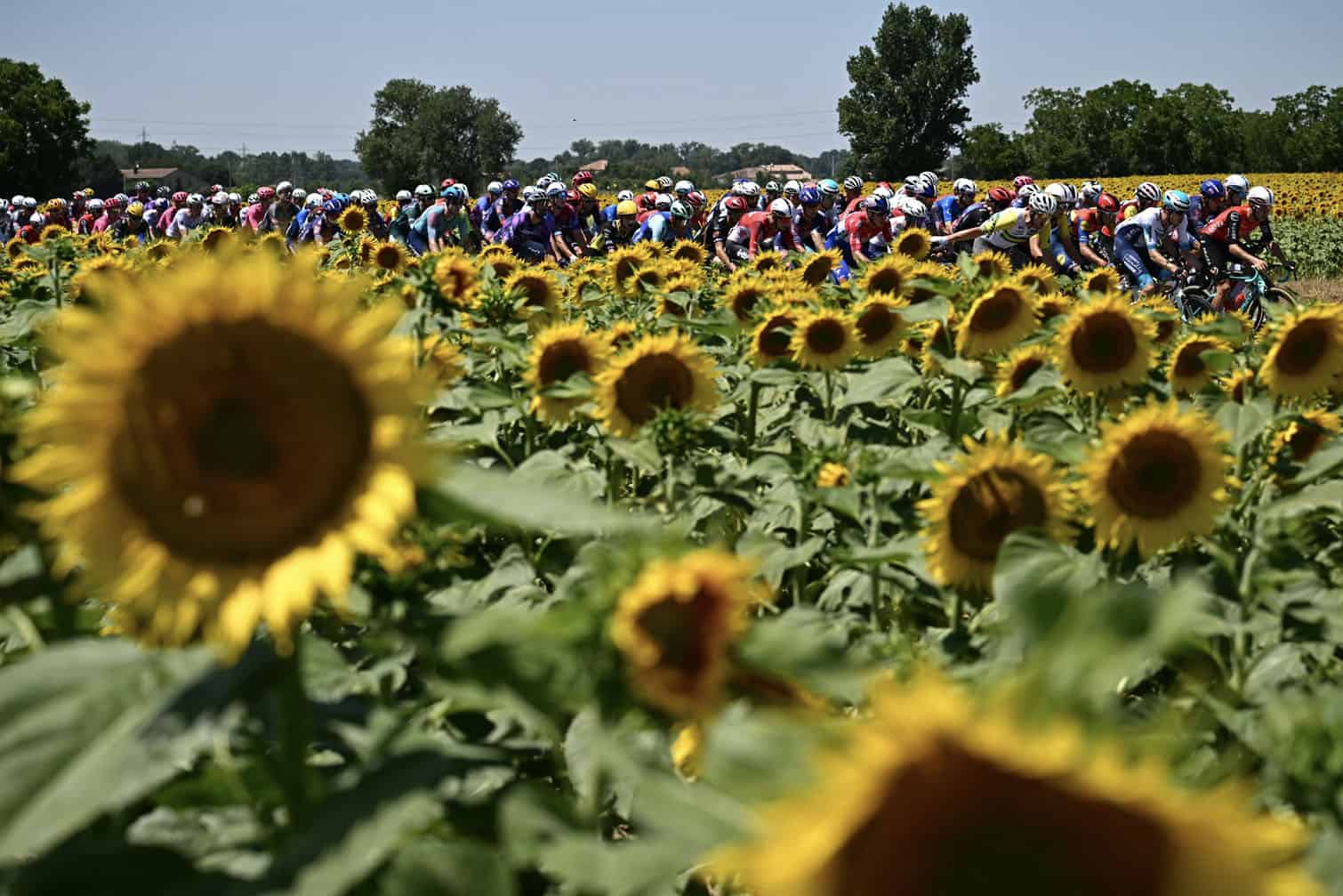 Tour de France cycling