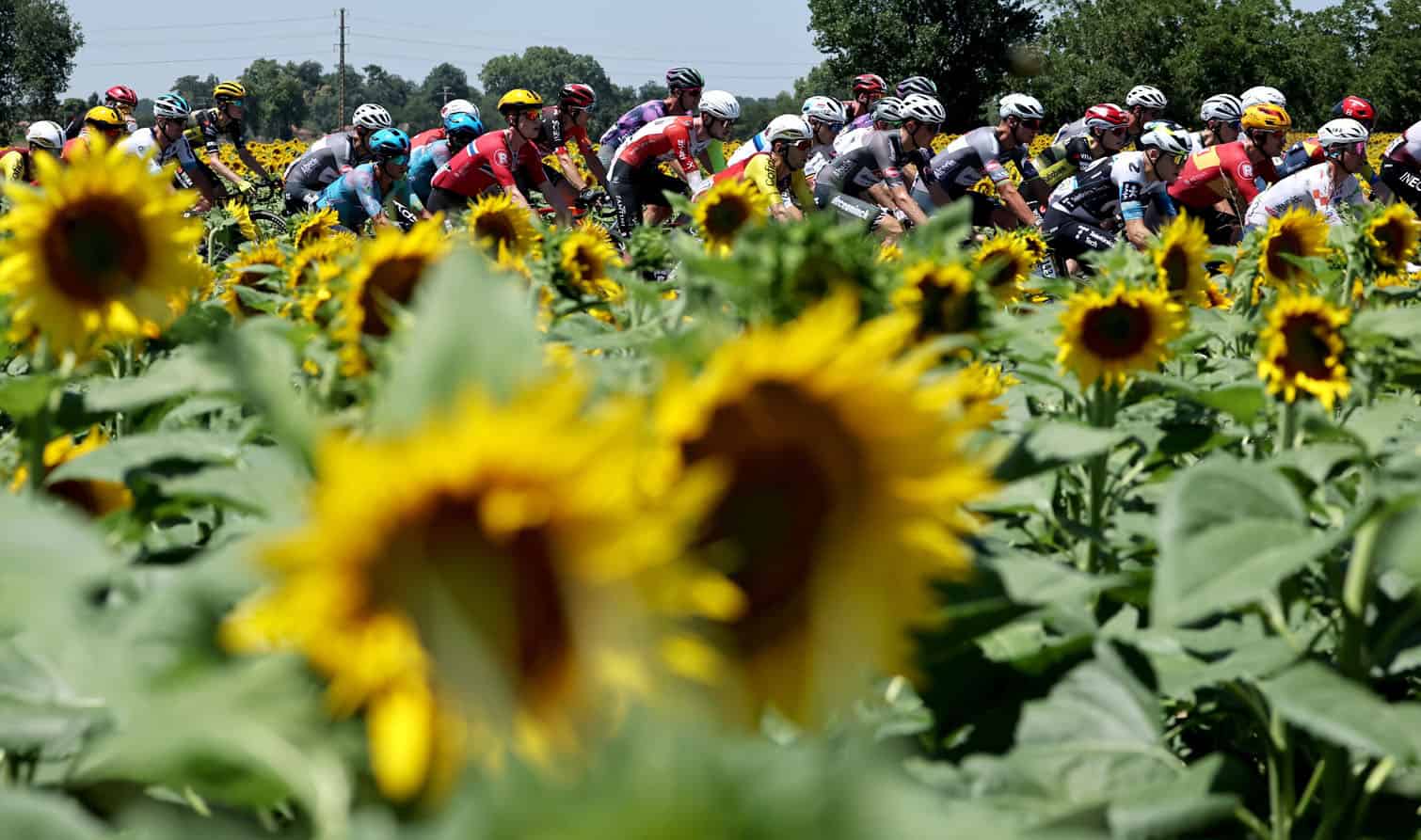 Tour de France