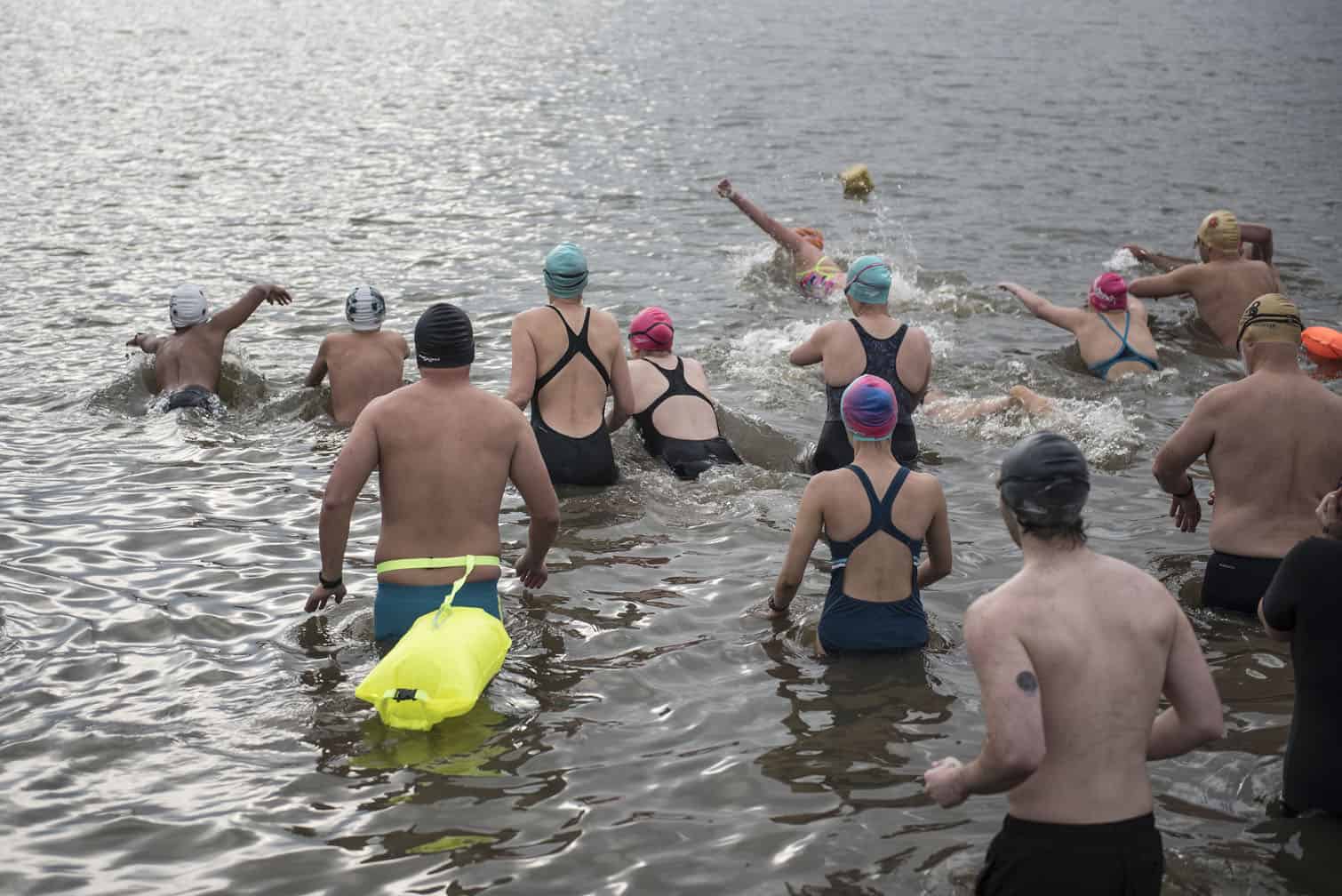 Polar bear mid-winter swim in Benoni