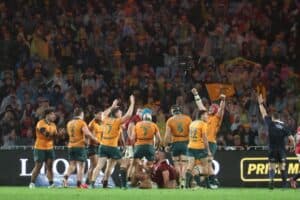 Wallabies