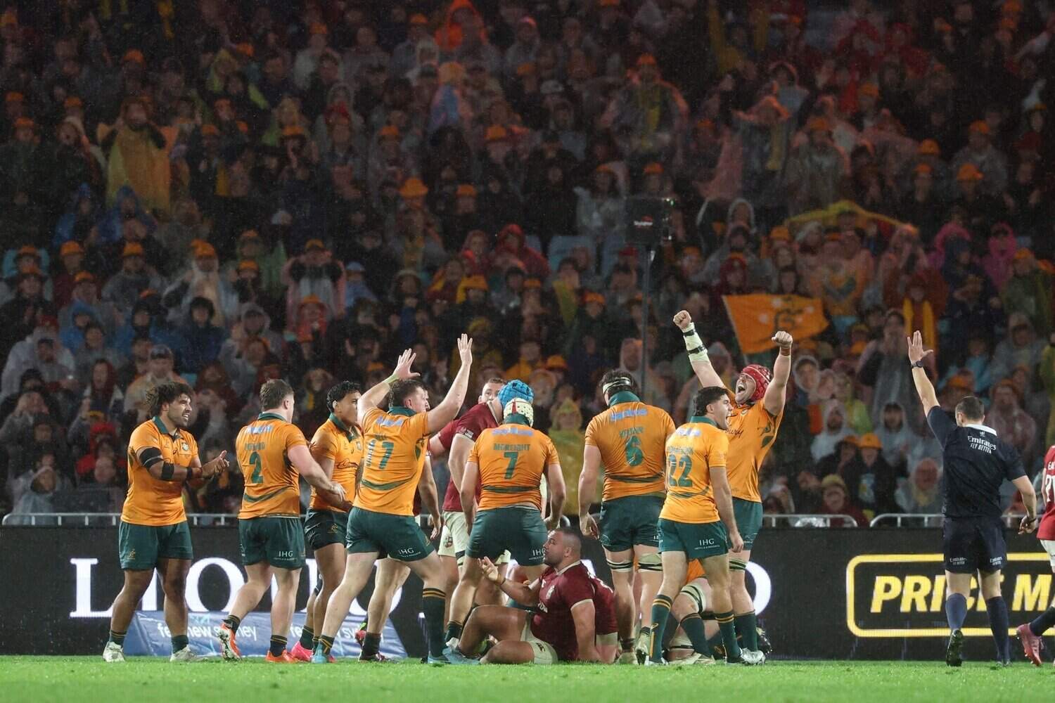 Wallabies