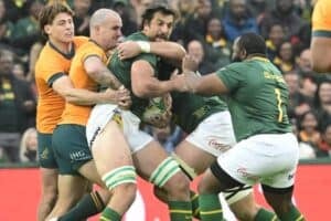 Wallabies