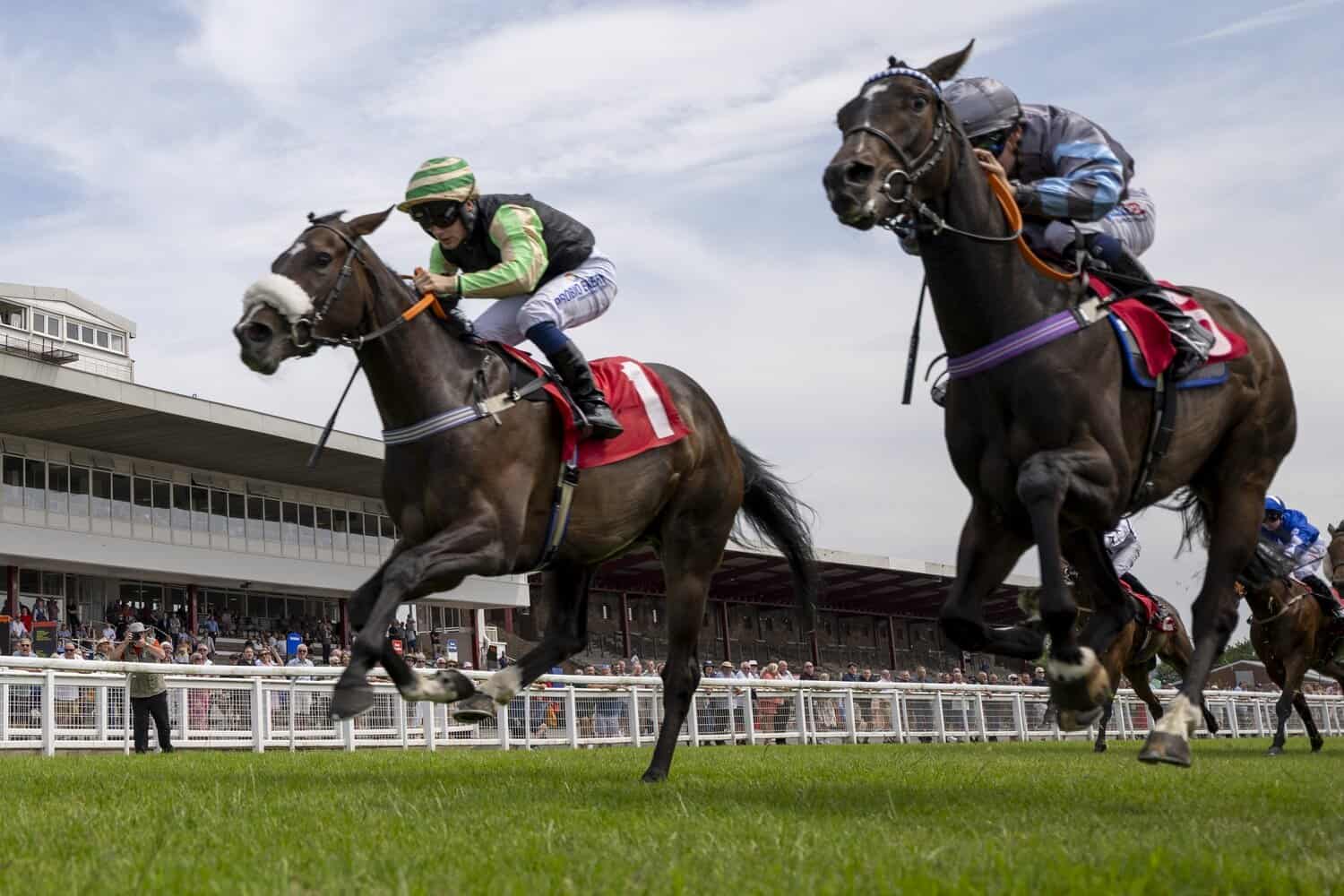 Horses racing in Britain