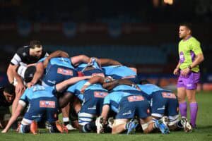 Bulls rugby players