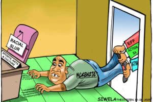 gayton mckenzie racism cartoon