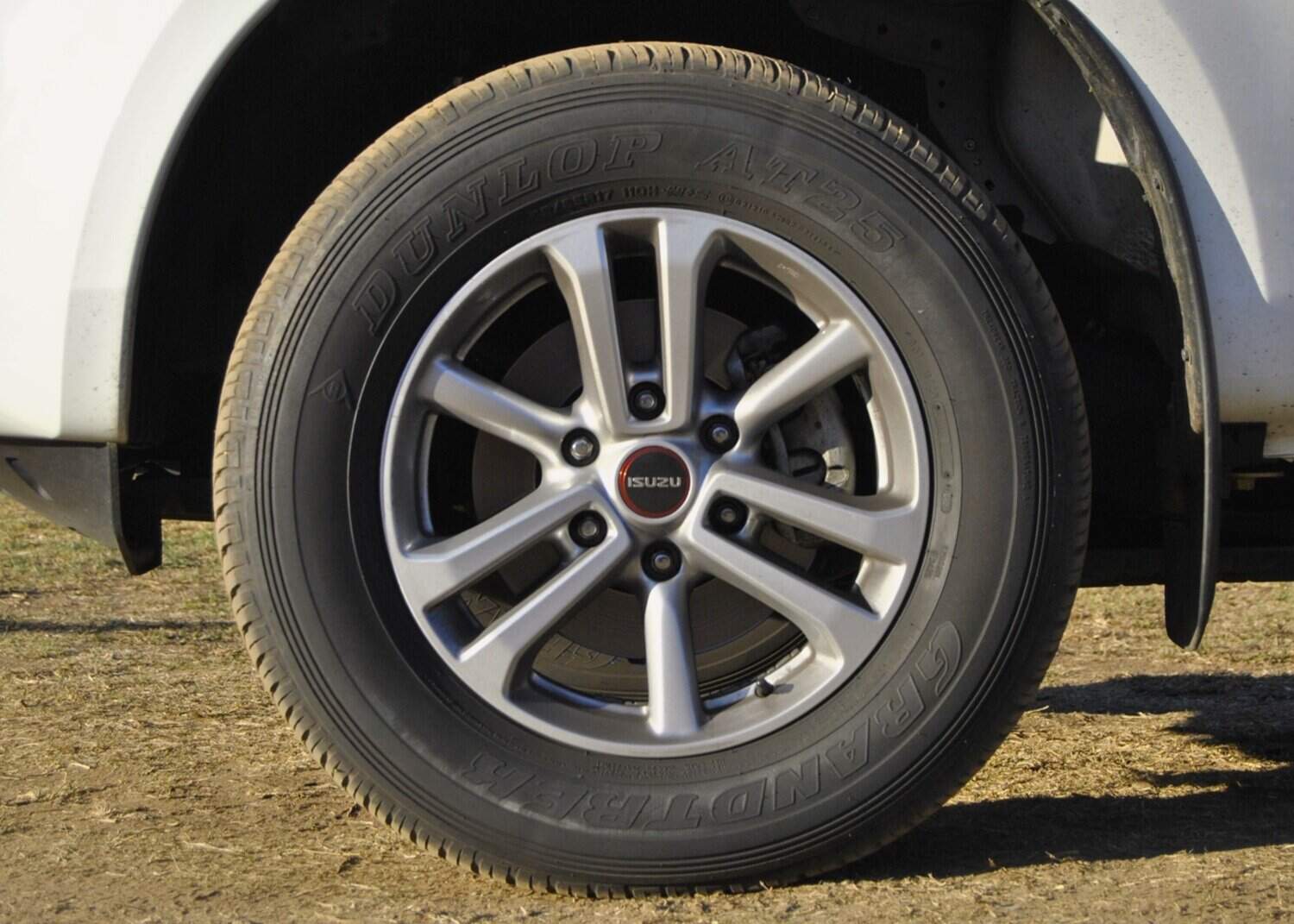 Isuzu D-Max single cab long-term arrival