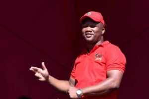EFF calls on Madlanga to ensure 'every cent' of inquiry is accounted for