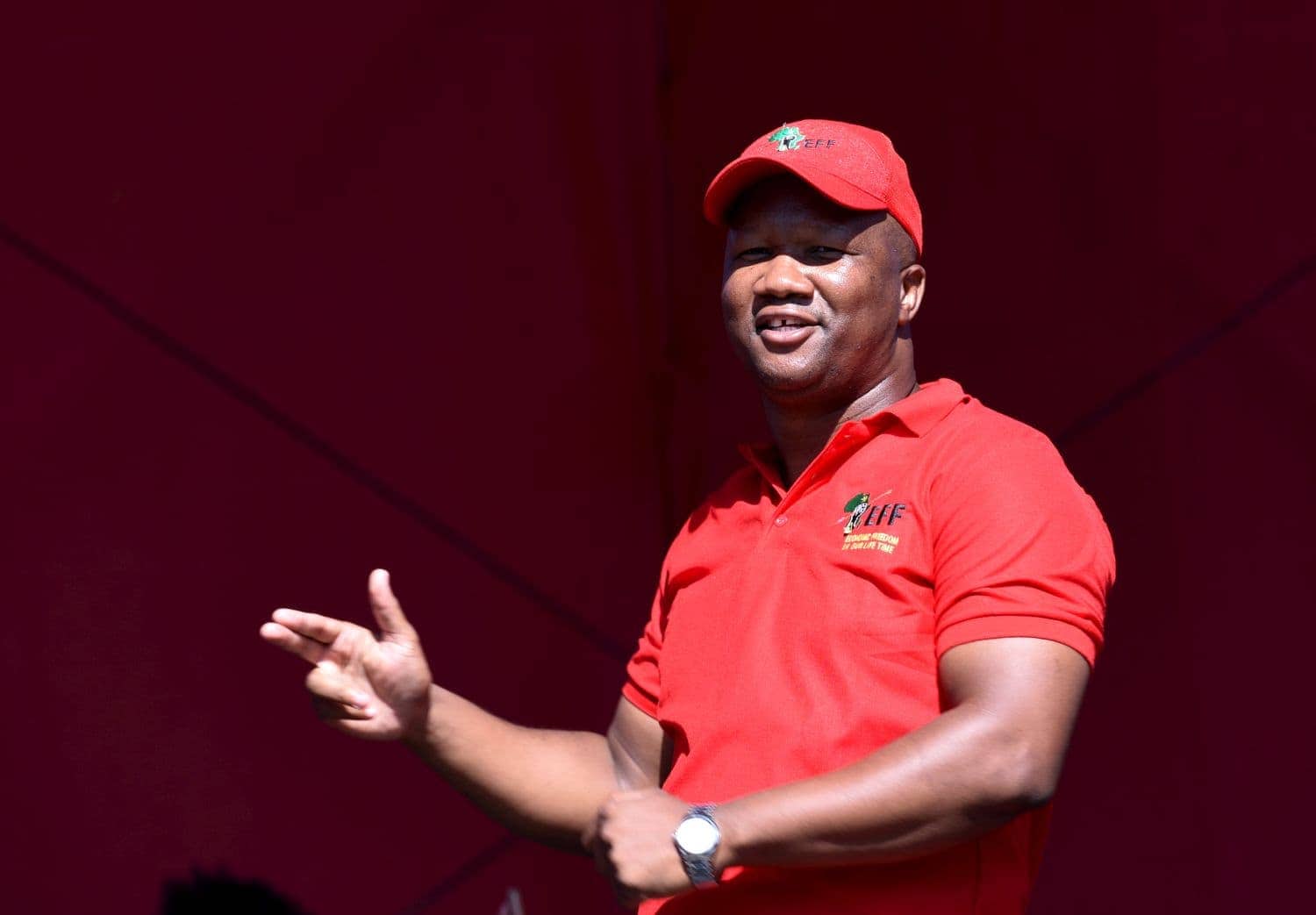 EFF calls on Madlanga to ensure 'every cent' of inquiry is accounted for