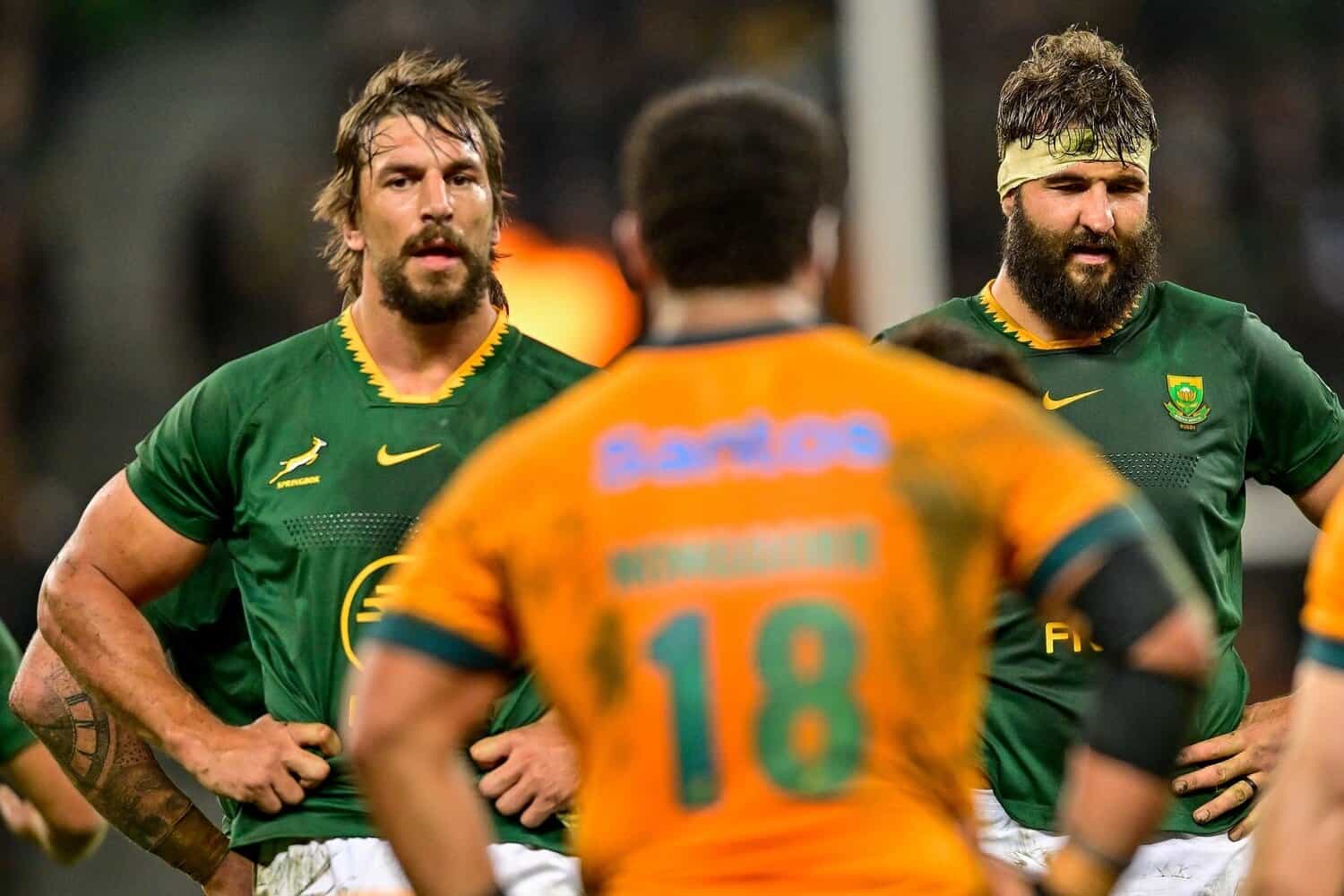 Springboks