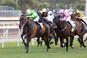 General horse racing picture
