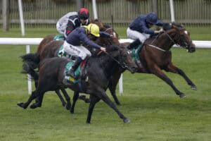 General picture of horses running