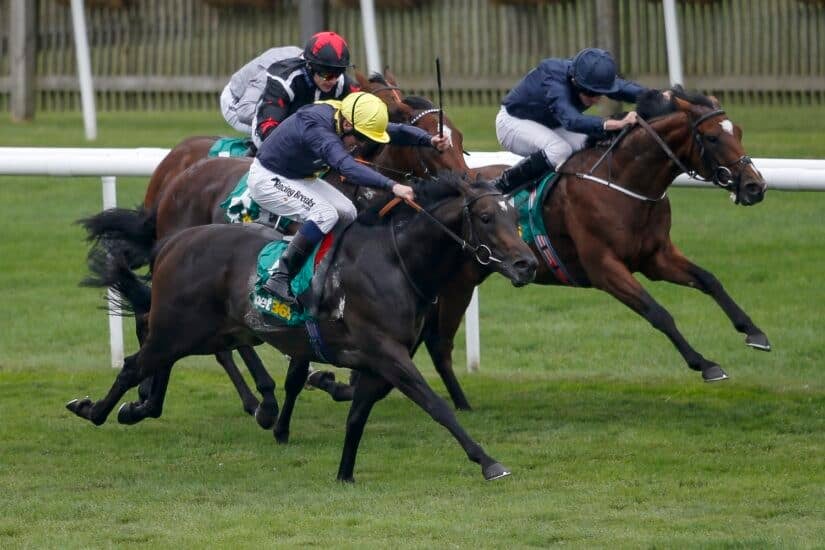 General picture of horses running
