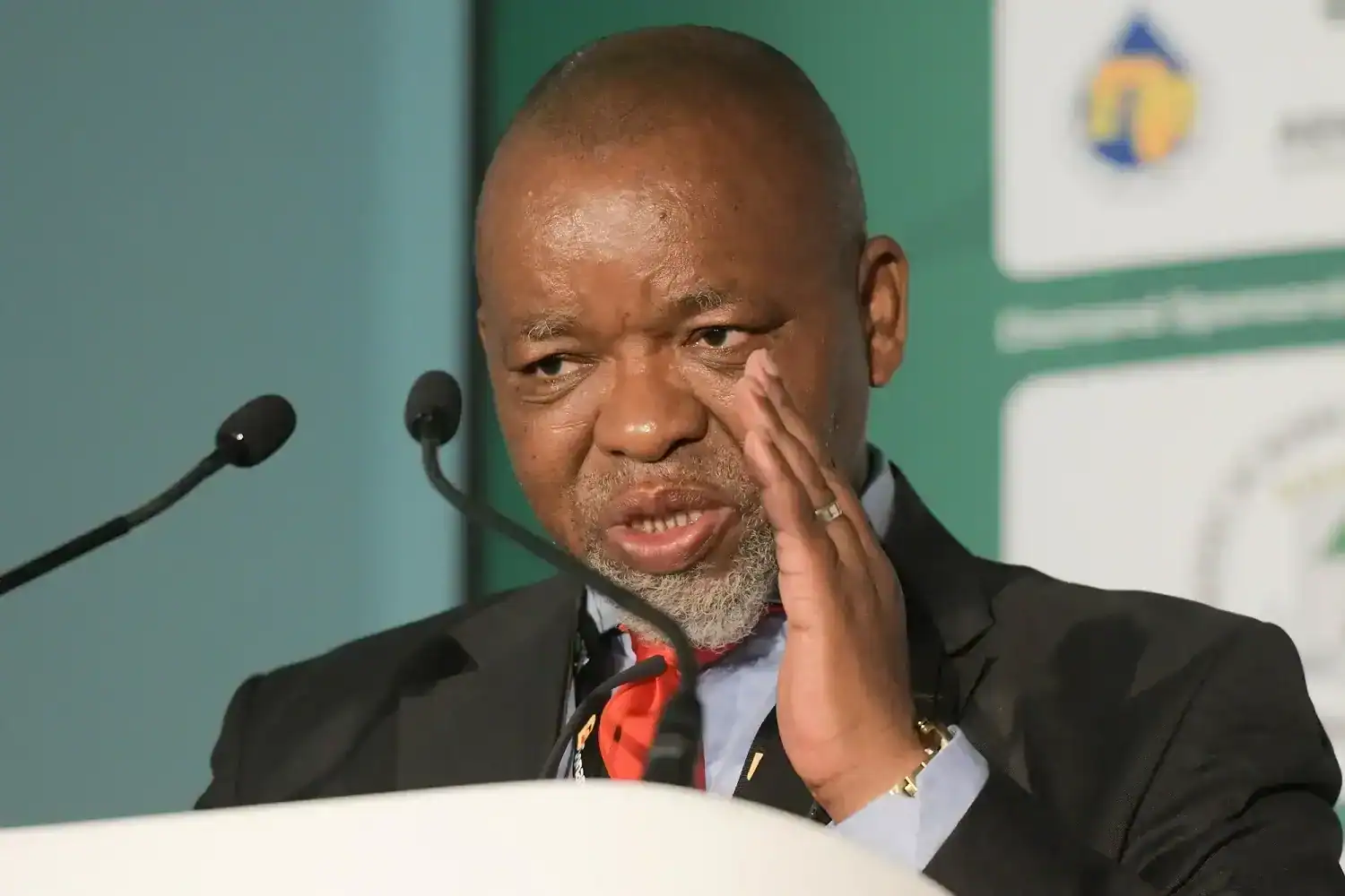 Transformation is not about replacing white faces with black faces - Mantashe