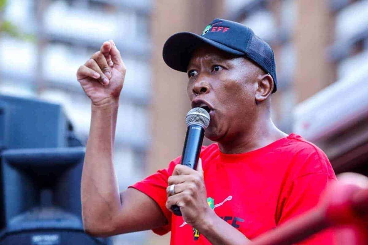 Polokwane municipality refutes Malema's allegations about Zimbabweans getting jobs
