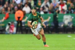 Cheslin Kolbe