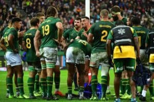 Springboks