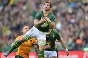 Springboks