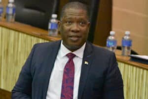 Premier Panyaza Lesufi on China, United States and Palestine.
