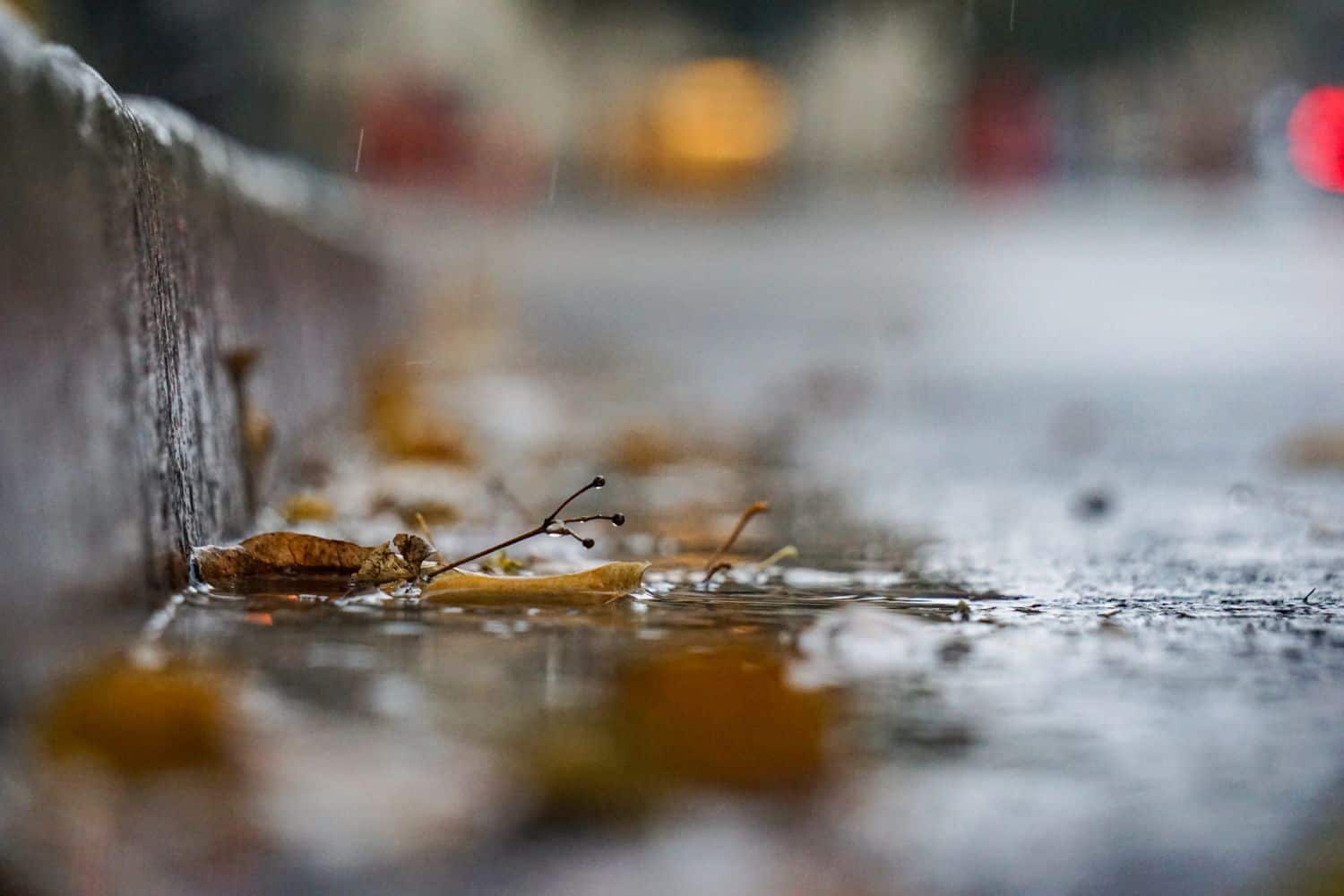 Scattered rain parts of South Africa cold front next week