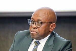 Madlanga commission Senzo Mchunu Mkhwanazi