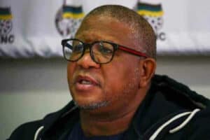 Fikile Mbalula allegedly defending mayor Princess Faku in Buffalo City.