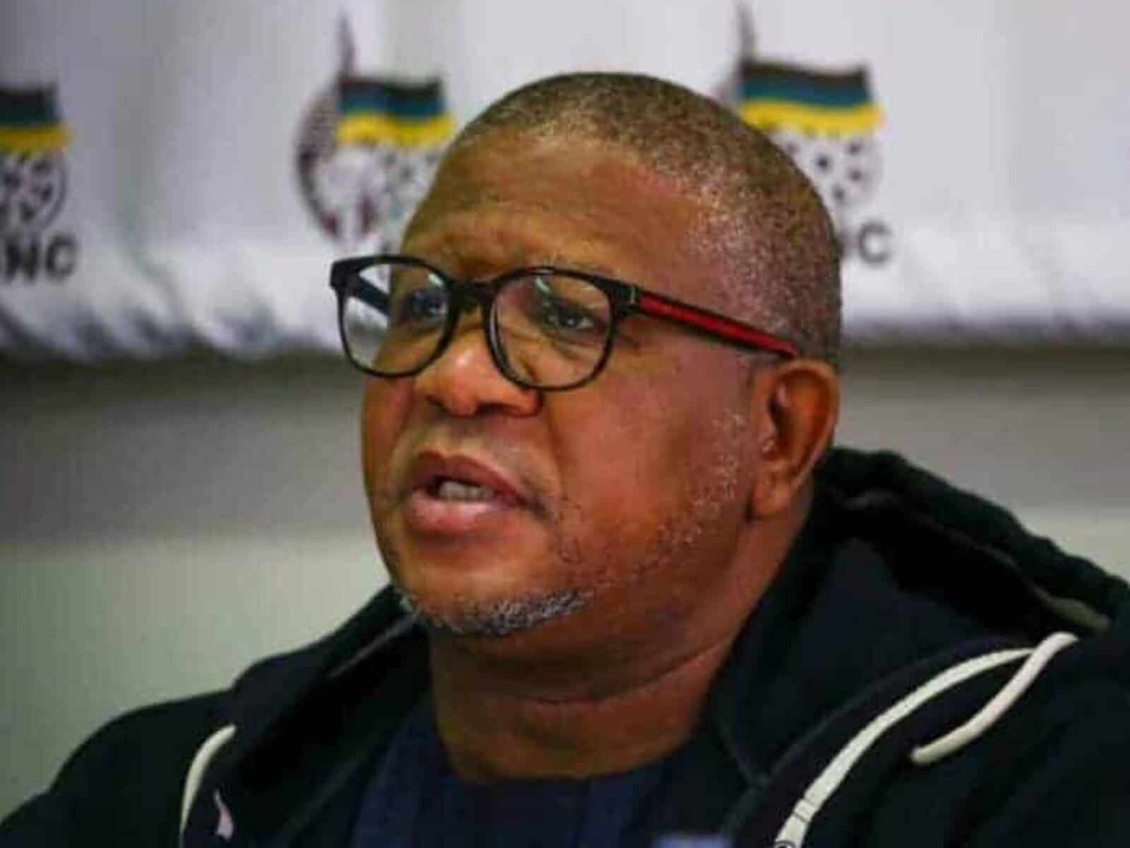 Fikile Mbalula allegedly defending mayor Princess Faku in Buffalo City.