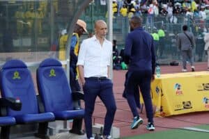 Miguel Cardoso - Mamelodi Sundowns
